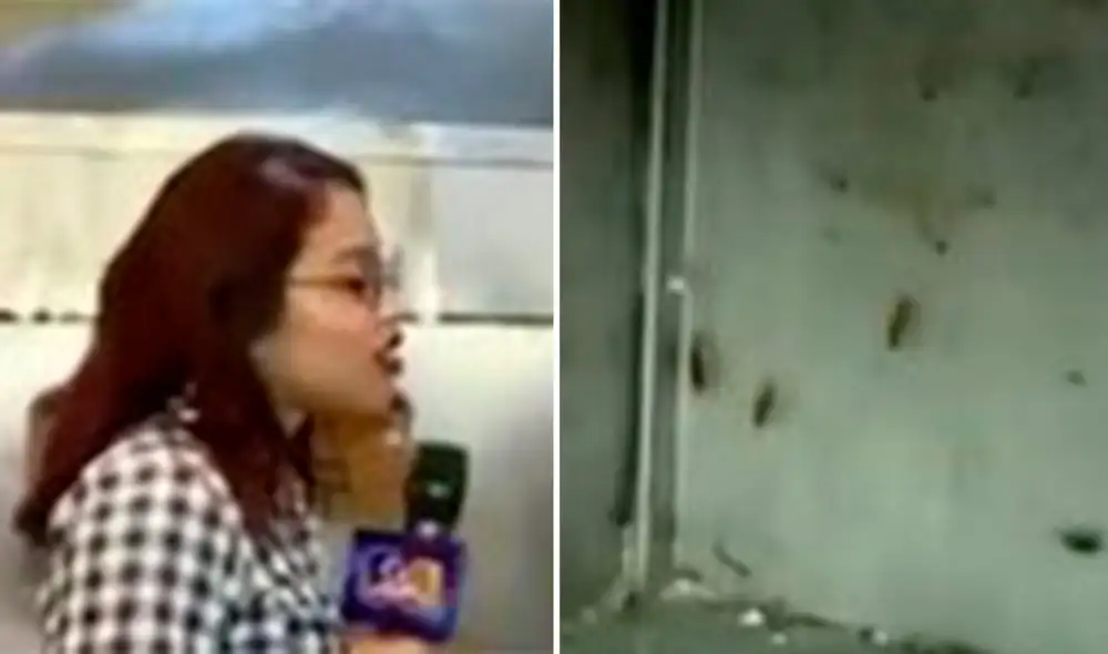 La reportera quedó sorprendida con el estado de los vegetales, el aceite reciclado y la abundancia de cucarachas en el local. Foto: composición LR / capturas de TikTok / @Panamericanaplus La reportera quedó sorprendida con el estado de los vegetales, el aceite reciclado y la abundancia de cucarachas en el local. Foto: composición LR / capturas de TikTok / @Panamericanaplus