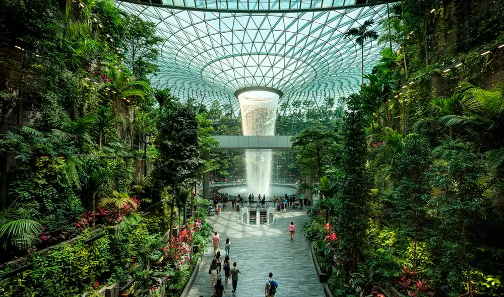El Aeropuerto Changi, de Singapur, tiene una cascada de 18 pies de altura. Foto: National Geographic El Aeropuerto Changi, de Singapur, tiene una cascada de 18 pies de altura. Foto: National Geographic