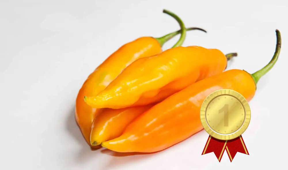 El ají amarillo es parte de una infinidad de recetas peruanas. Foto: composición LR/comedera/clipart