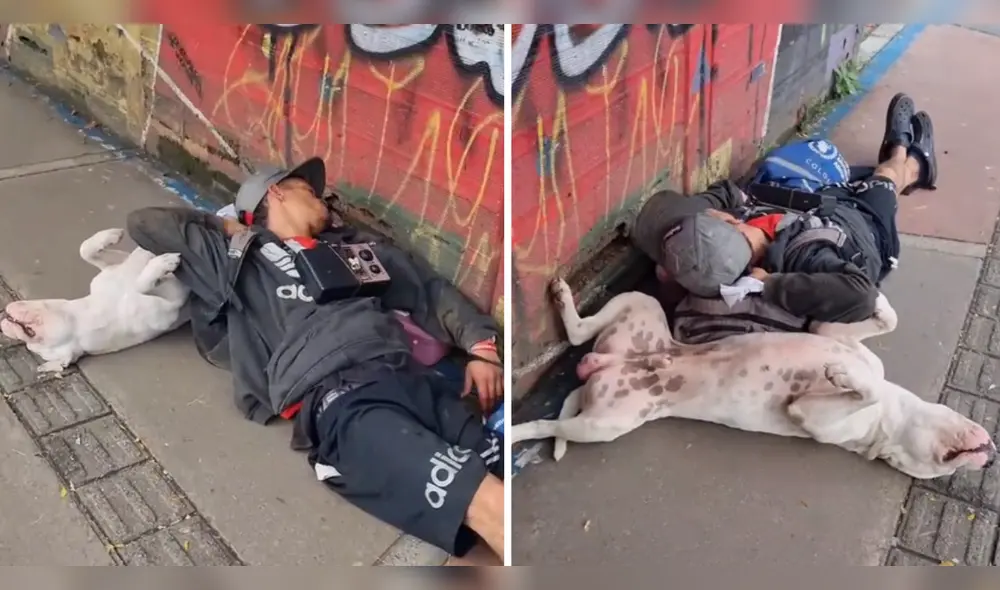 Los usuarios dejaron todo tipo de comentarios tras ver al perrito con su dueño en la calle. Foto: composición LR/TikTok/@ibethmadrid08k Los usuarios dejaron todo tipo de comentarios tras ver al perrito con su dueño en la calle. Foto: composición LR/TikTok/@ibethmadrid08k