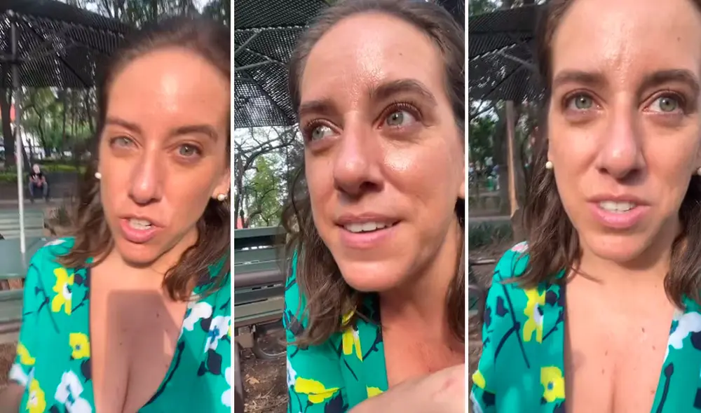 Le sorprendió la escasez de tachos de basura en la ciudad. Foto: composición LR/captura/@Thefabashow/TikTok