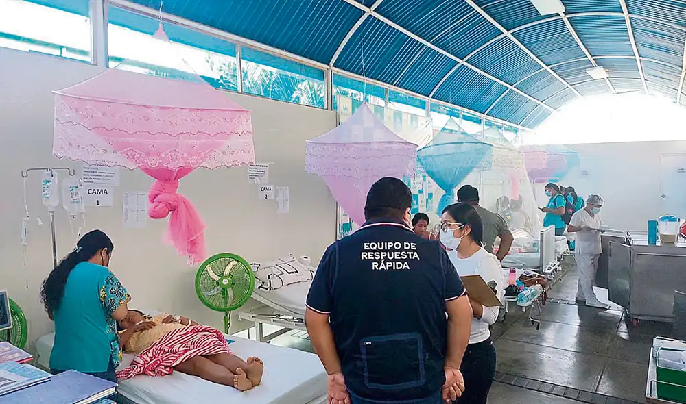 Alerta. Las regiones del norte y oriente del Perú son las más vulnerables ante la presencia del mosquito transmisor del dengue. Foto: difusión