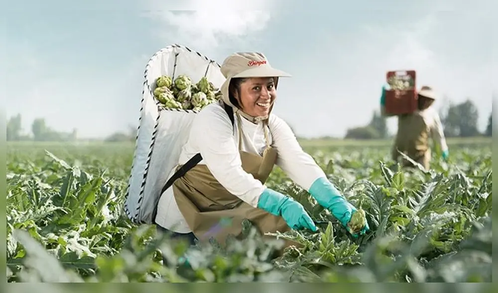 Danper subscribe un crédito sostenible, ratificando su posicionamiento de empresa líder de la agroindustria en base a su modelo de gestión basado en la creación de Valor Compartido. Danper subscribe un crédito sostenible, ratificando su posicionamiento de empresa líder de la agroindustria en base a su modelo de gestión basado en la creación de Valor Compartido.