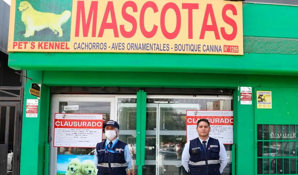 Las mascotas no contaban con rutinas de limpieza. Foto: Municipalidad de Surco