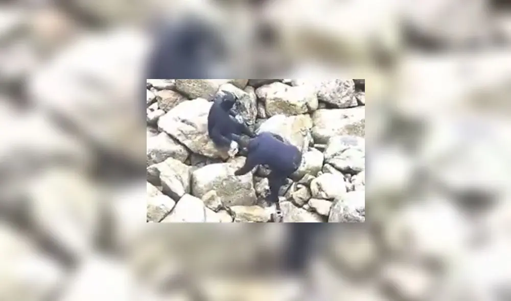 Hombres fueron grabados por guardaparques. Foto: Sernanp - Video: Sernanp