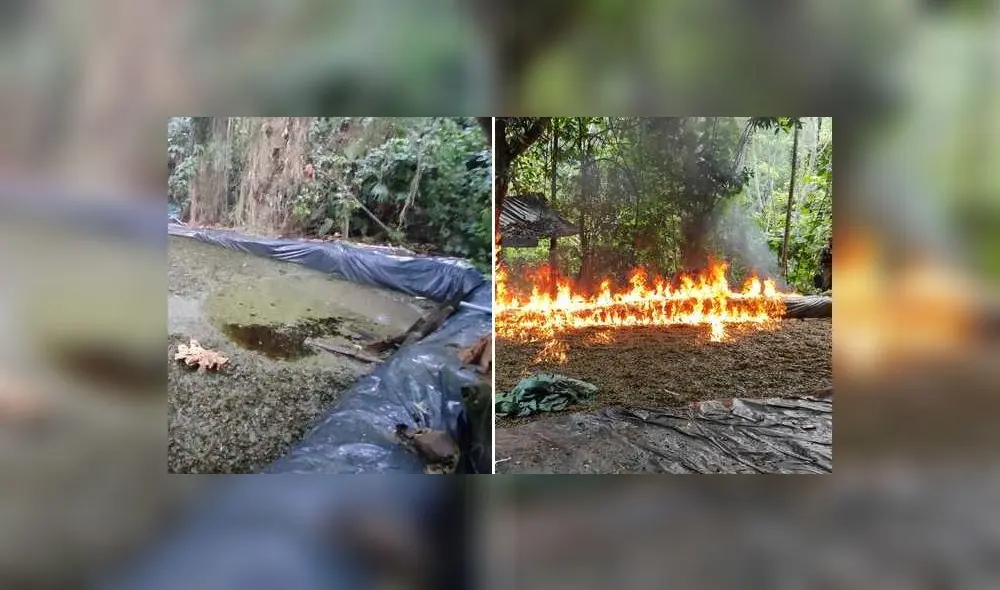 Laboratorios clandestinos fueron incinerados. Foto: composición LR/Ministerio del Interior