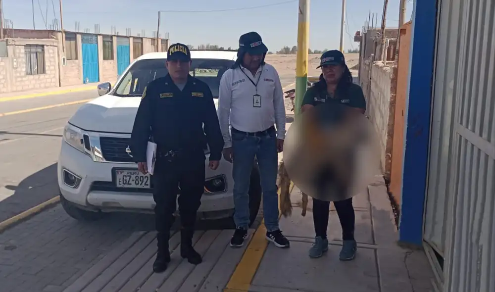 Un ciudadano denunció el hecho ante Serfor de Arequipa. Foto: SERFOR/Facebook