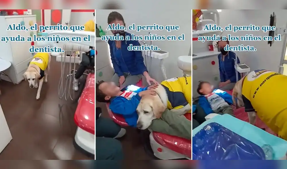 Usuarios también contaron sus experiencias sobre su temor de ir a los dentistas. Foto: composición LR/TikTok/@_e_habilidades_caninas/