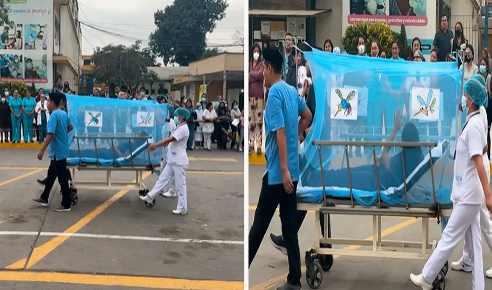 Las imágenes sacaron miles de sonrisas a los usuarios en redes sociales. Foto: captura de LR/@Knz963/TikTok