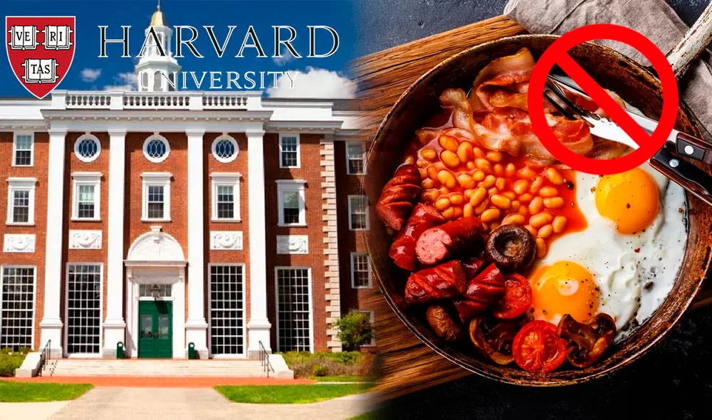 Investigadora de Harvard recomienda consumir este desayuno con esta frecuencia. Foto: composición/Wikipedia/difusión Investigadora de Harvard recomienda consumir este desayuno con esta frecuencia. Foto: composición/Wikipedia/difusión