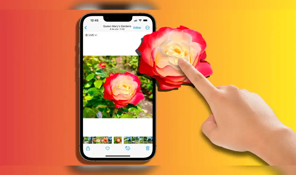 Eliminar el fondo de una foto en nuestro iPhone es posible gracias a iOS 16. Foto: Hoy en Apple
