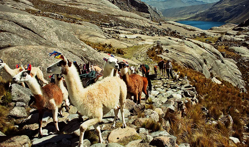 Huarochirí. Su red de caminos unió Lima con el centro y sur del país. Y fue ideal para emboscadas. Foto: Difusión