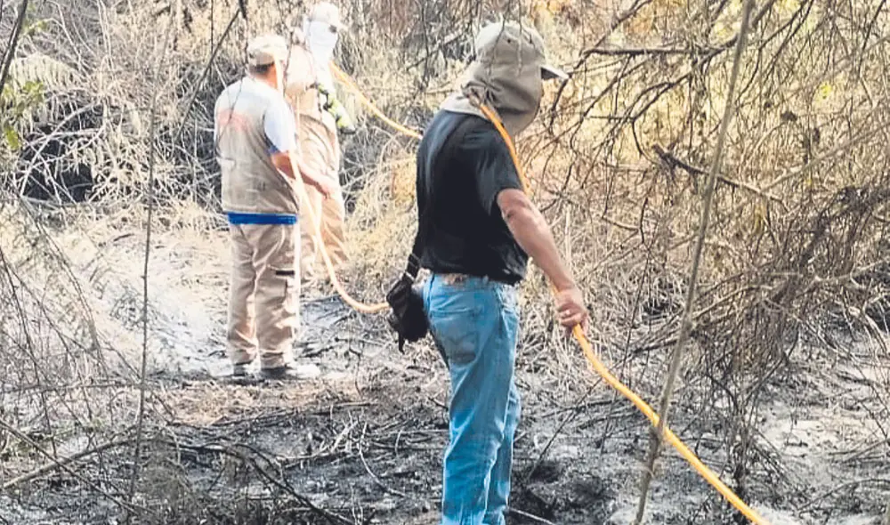 Nuevo incendio. Hace unas semanas también ocurrió un hecho similar en Chan Chan. Foto: difusión
