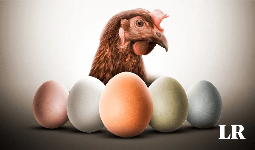 Los colores de la cáscara varían según diversos factores. Foto: composición de Fabrizio Oviedo/La República