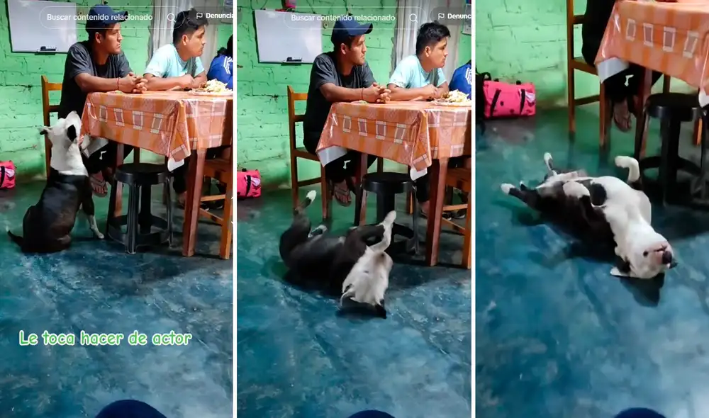 El video no tardó en hacerse viral y ha sobrepasado los 2 millones de reproducciones. Foto: composición LR/@Cancer_tlv/TikTok El video no tardó en hacerse viral y ha sobrepasado los 2 millones de reproducciones. Foto: composición LR/@Cancer_tlv/TikTok