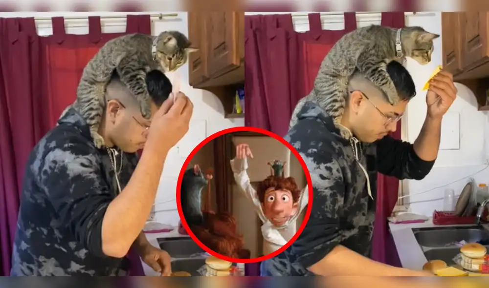 Usuarios se enternecieron tras ver la escena. Foto: composición LR/TikTok/@ericklopez71 Usuarios se enternecieron tras ver la escena. Foto: composición LR/TikTok/@ericklopez71