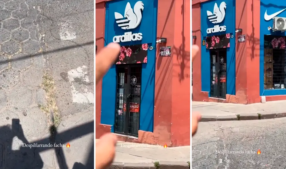 Las imágenes sacaron miles de sonrisas a los usuarios en las redes sociales. Foto: composición LR/@Chivito_carrasco/TikTok Las imágenes sacaron miles de sonrisas a los usuarios en las redes sociales. Foto: composición LR/@Chivito_carrasco/TikTok