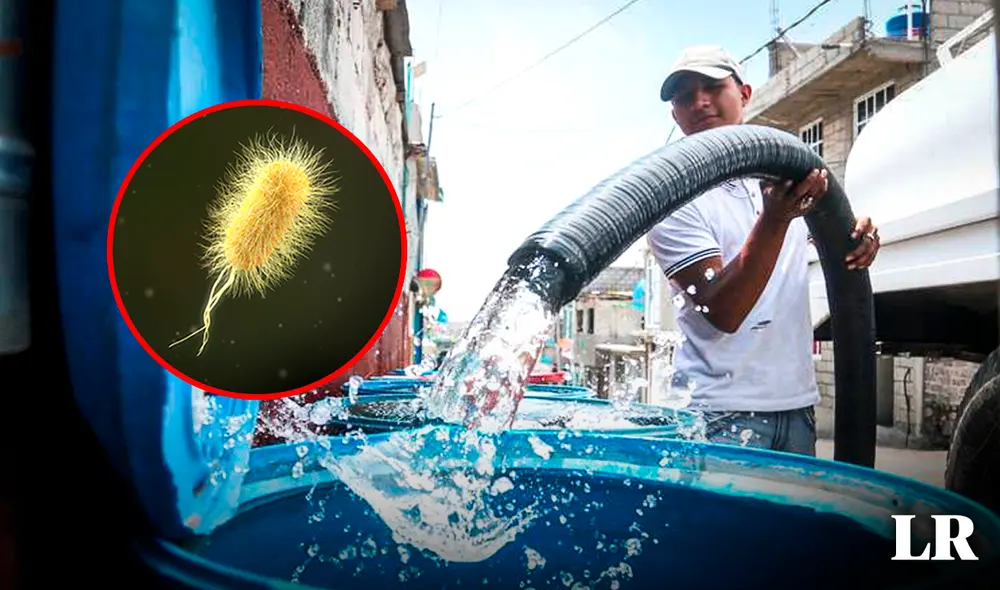 La detección de la bacteria E. coli podría indicar la presencia de otros patógenos en el agua contaminada. Foto: composición LR La detección de la bacteria E. coli podría indicar la presencia de otros patógenos en el agua contaminada. Foto: composición LR