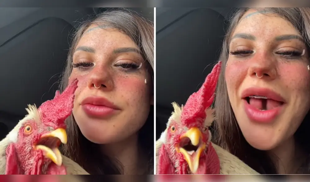 Usuarios dejaron todo tipo de comentarios tras ver al gallo 'cantando'. Foto: composición LR/TikTok/@aideehaller