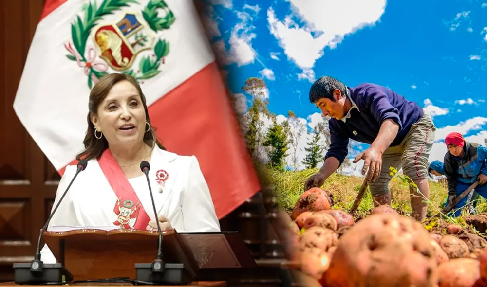 Dina Boluarte señaló que el FertiAbono 2 beneficiará a 166.000 productores agrarios. Foto: composición LR/Antonio Melgarejo/Andina Dina Boluarte señaló que el FertiAbono 2 beneficiará a 166.000 productores agrarios. Foto: composición LR/Antonio Melgarejo/Andina