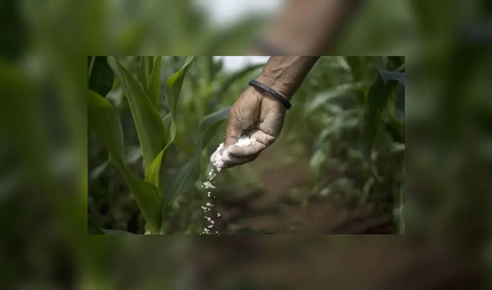 Planta petroquímica. La urea es uno de los principales fertilizantes fabricados con gas natural. Foto: difusión Planta petroquímica. La urea es uno de los principales fertilizantes fabricados con gas natural. Foto: difusión