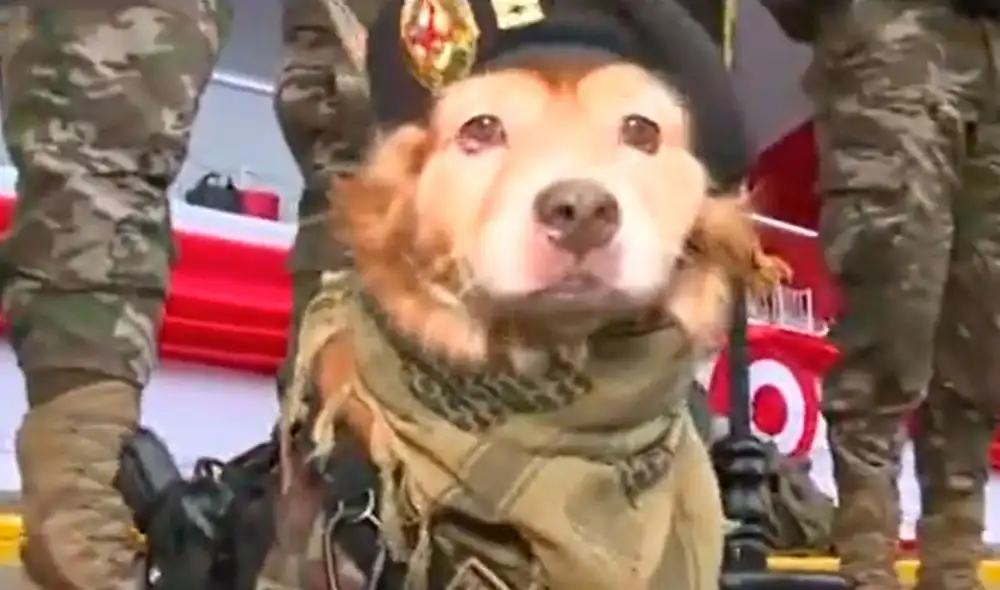 El Chato participará en el evento cívico-militar luego de 3 años. Foto: captura de Panamericana El Chato participará en el evento cívico-militar luego de 3 años. Foto: captura de Panamericana