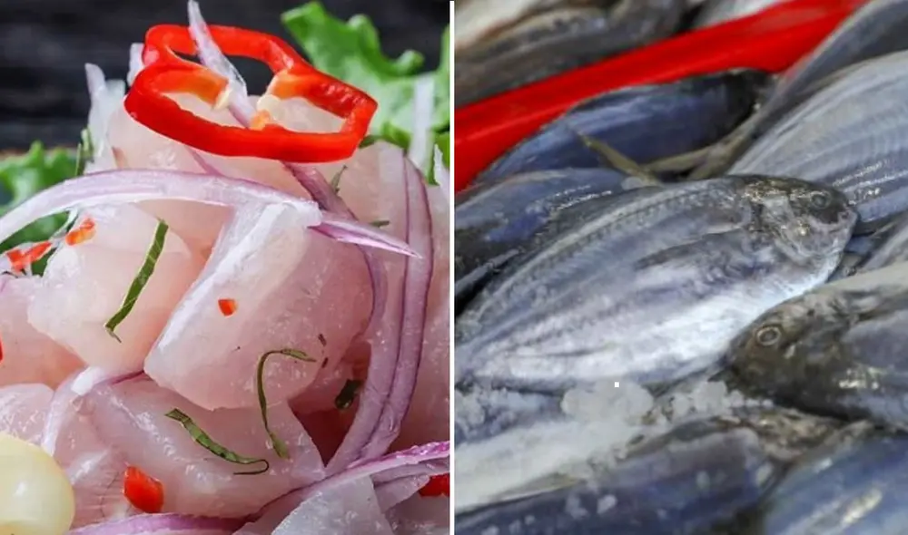 El ceviche es Patrimonio Cultural de la Nación. Foto: composición LR/Todo en Perú/Andina