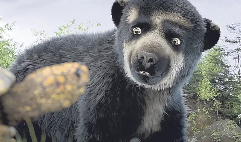 Osa de anteojos. Nuevo filme de Eduardo Schudlt se eleva en su filmografía. Foto: difusión