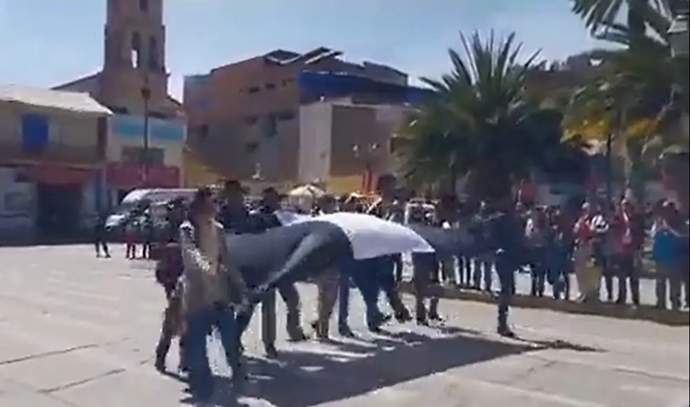 Ciudadanos marchan con bandera de luto. Foto: captura de Twitter/José Salcedo - Video: José Salcedo Ciudadanos marchan con bandera de luto. Foto: captura de Twitter/José Salcedo - Video: José Salcedo
