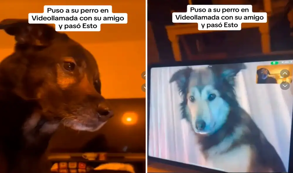 Las imágenes sacaron más de una lágrima en los usuarios de redes. Foto: composición LR/@Dano2137/TikTok