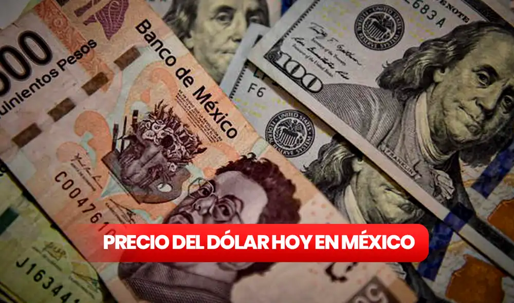 Precio del dólar en México para hoy, domingo 6 de agosto. Foto: composición LR/AFP Precio del dólar en México para hoy, domingo 6 de agosto. Foto: composición LR/AFP