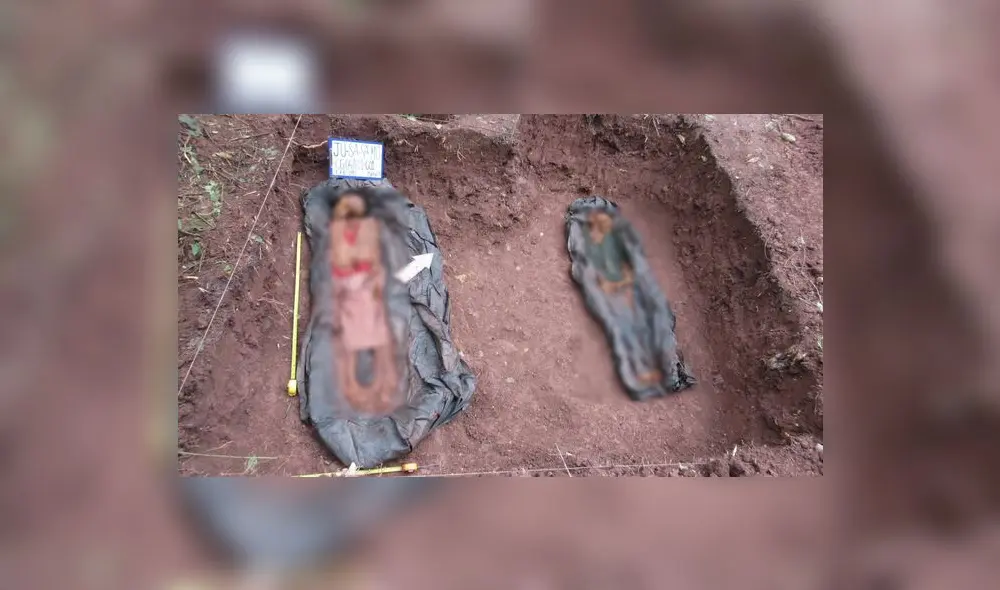 Restos óseos de menores de edad fueron encontrados en Satipo, Junín. Foto: difusión Restos óseos de menores de edad fueron encontrados en Satipo, Junín. Foto: difusión