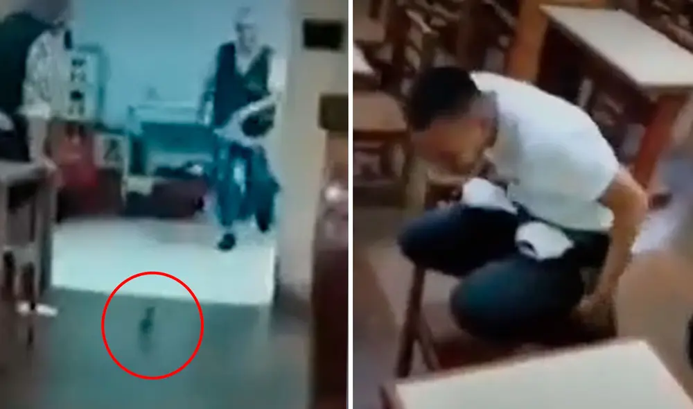 Los clientes gritaron y algunos se rieron ante la presencia del roedor. Foto: composición LR/capturas de Canal N