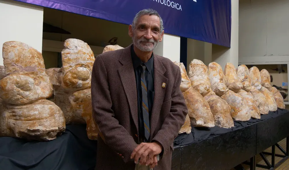 Mario Urbina junto a los huesos del Perucetus colossus, en el Museo Nacional de Historia UNMSM. Foto: Pilar López Mario Urbina junto a los huesos del Perucetus colossus, en el Museo Nacional de Historia UNMSM. Foto: Pilar López