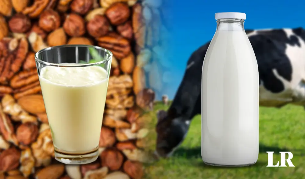 La leche de vaca y la vegetal no poseen la misma cantidad de nutrientes. Conoce cuál es mejor. Foto: composición LR/Freepik/difusión