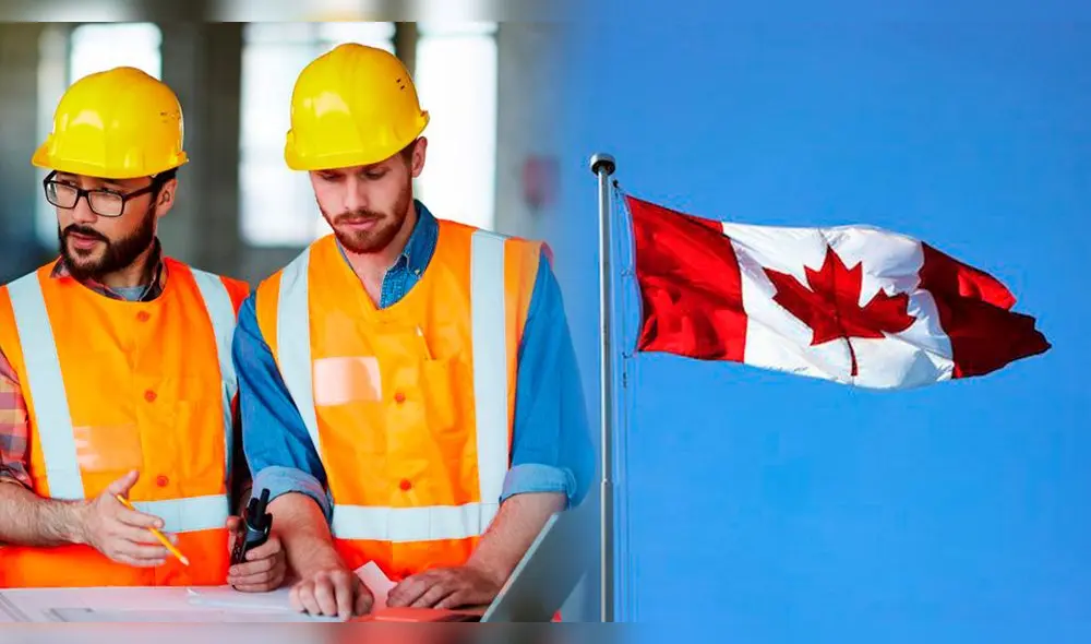 Conoce los oficios para trabajar en Canadá. Foto: composición LR Conoce los oficios para trabajar en Canadá. Foto: composición LR