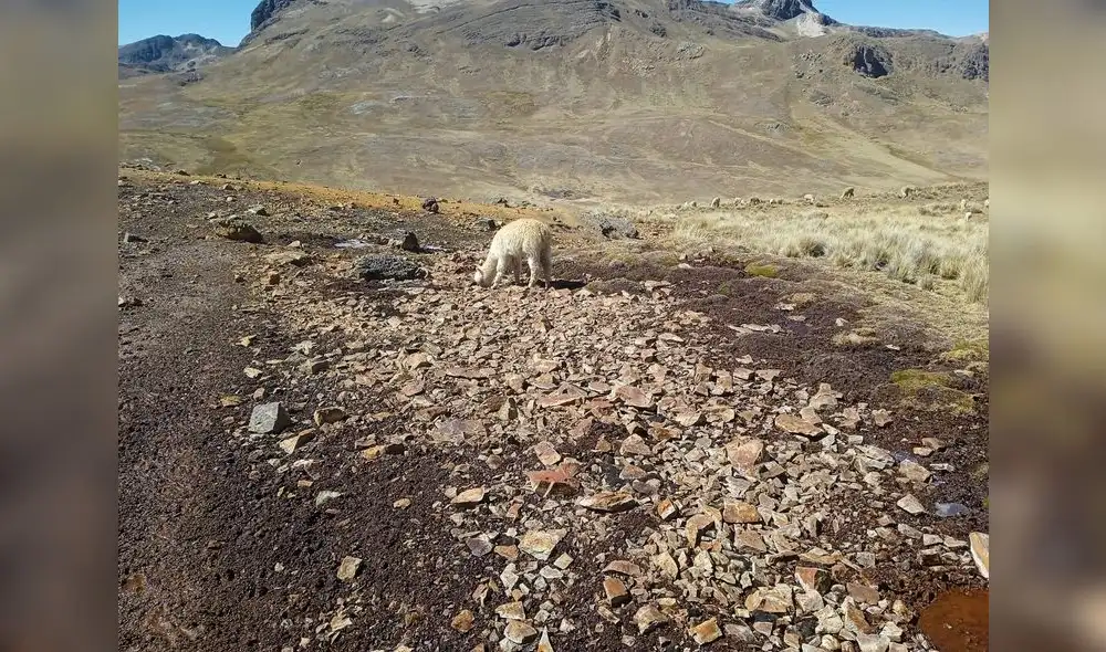 No cambio. No se destinó dinero para enfrentar crisis hídrica