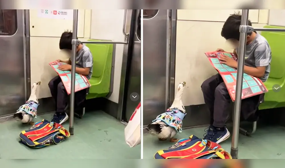 Imágenes se hicieron virales en redes sociales. Foto: captura de LR/@Weengaliindo/TikTok Imágenes se hicieron virales en redes sociales. Foto: captura de LR/@Weengaliindo/TikTok