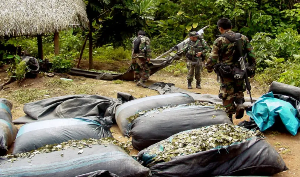 Erradicación de hoja de coca. Foto: Mininter Erradicación de hoja de coca. Foto: Mininter