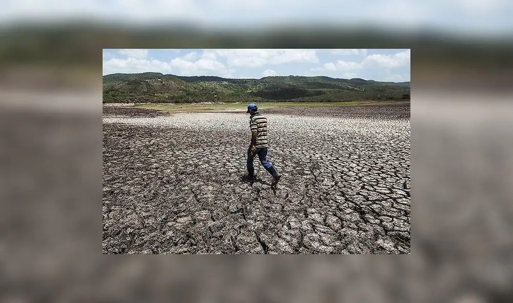 Terrenos se dejan de sembra desde 2022 por crisis. Foto: La República