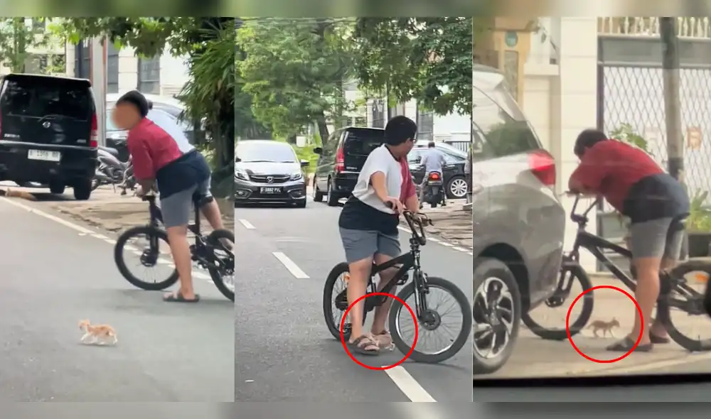 Usuarios se conmovieron tras ver la escena que protagonizaron el niño y el gato. Foto: composición LR/TikTok/@anjanielsau Usuarios se conmovieron tras ver la escena que protagonizaron el niño y el gato. Foto: composición LR/TikTok/@anjanielsau