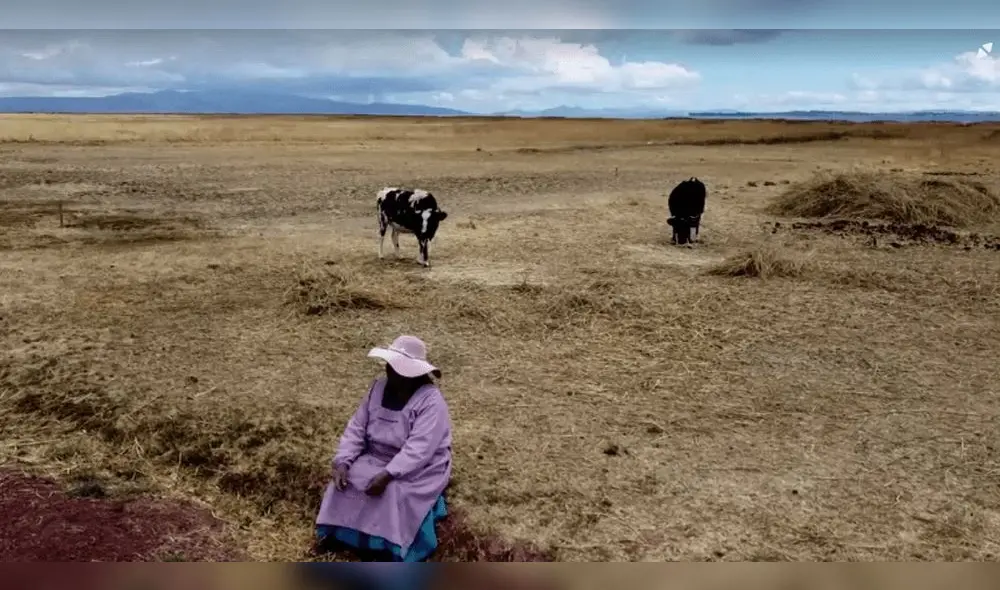 Todo seco. Terrenos de cultivos no se pudieron sembrar en la campaña 2022-2023, debido a la falta de lluvias en la región Puno.