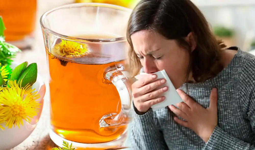 Esta bebida a base de plantas es capaz de aliviar las enfermedades pulmonares. Foto: composición/El Español/Cuerpomente