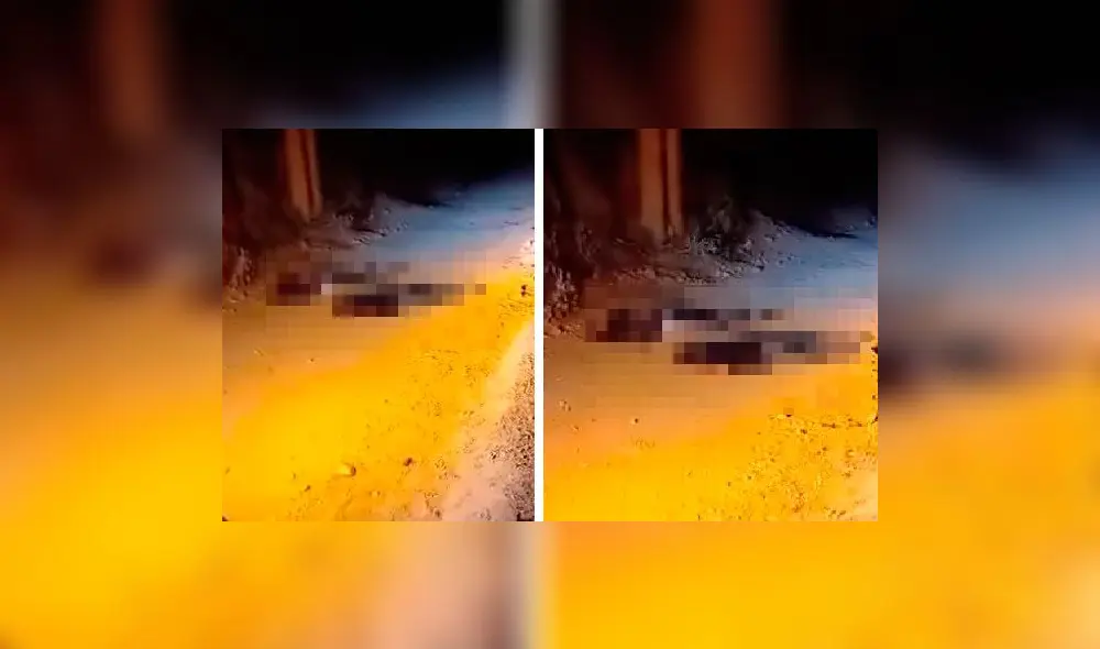 Muertos quedaron en medio de la carretera. Foto y video: Causa Justa