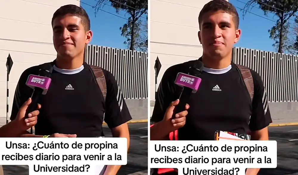 El video acumula más de 600.000 visitas en la plataforma. Foto: Composición LR / Captura Video TikTok @anderson.butron