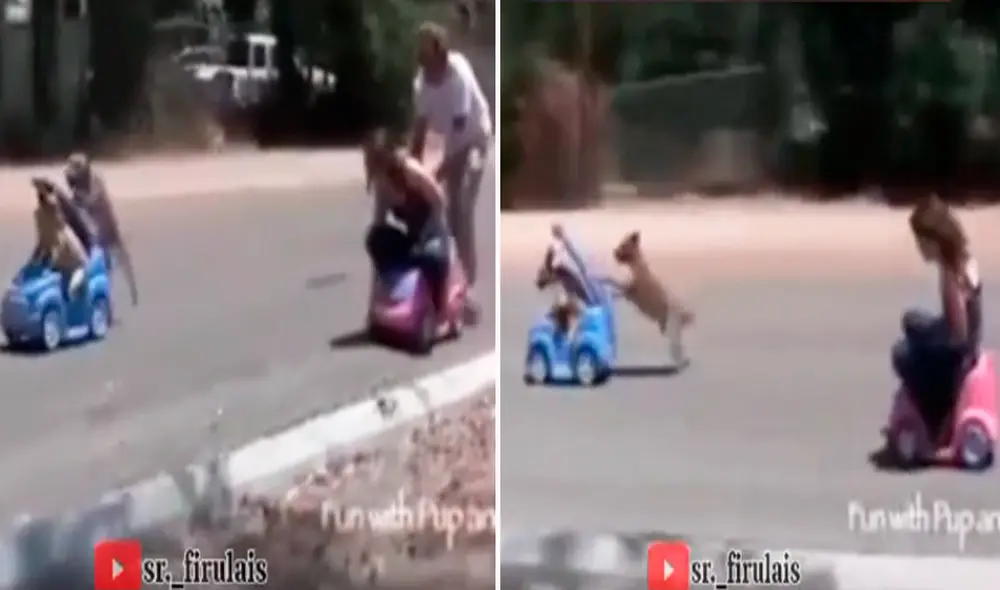 La tierna carrera cautivó los corazones de miles en redes sociales. Foto: composición LR/@Sr._firulais/TikTok La tierna carrera cautivó los corazones de miles en redes sociales. Foto: composición LR/@Sr._firulais/TikTok