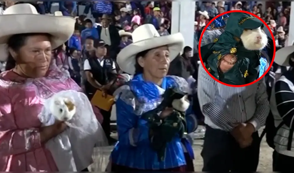 El acontecimiento suscitó diversas posturas de los internautas. Foto: composición LR/AndinaRadio - Video: AndinaRadio