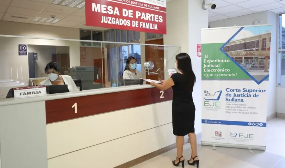 Estos son los pasos para consular tu expediente judicial por medio del número. Foto: Andina