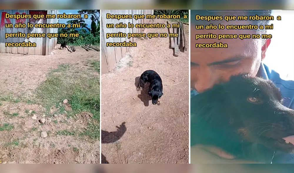 Usuarios se sintieron muy conmovidos por el reencuentro. Foto: captura de LR/@Abmrpz/TikTok Usuarios se sintieron muy conmovidos por el reencuentro. Foto: captura de LR/@Abmrpz/TikTok