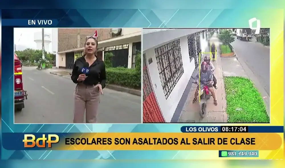 El hecho ocurrió en la Urbanización Los Pinares, en el distrito de Los Olivos. Foto: Captura Panamericana / Video: Panamericana